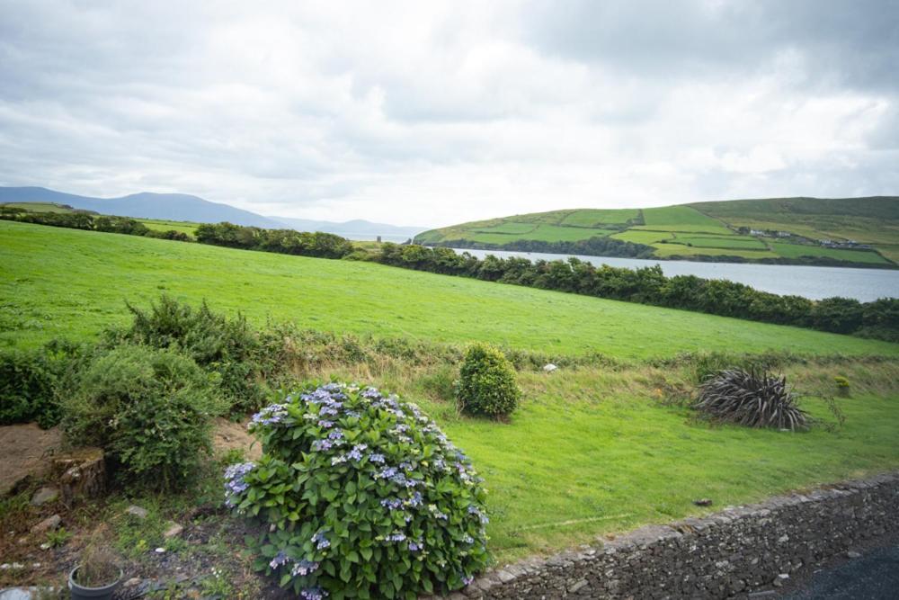 Half Door House Hotel Dingle Luaran gambar